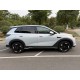 BYD Sea lion 05, Flagship Smart Edition, 2025, пробег 9 тысяч км